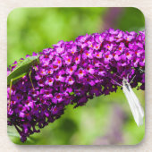 Kuttenenergie Getränkeuntersetzer (Vorderseite)