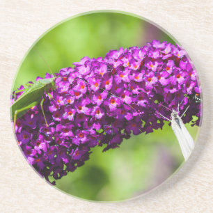 Kuttenenergie Getränkeuntersetzer