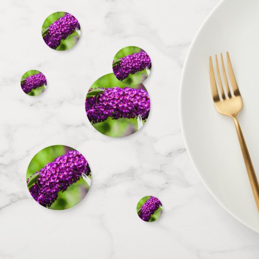 Kuttenenergie Konfetti (Gruppe)