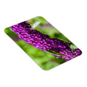 Kuttenenergie Magnet (Rechte Seite)