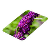 Kuttenenergie Magnet (Linke Seite)