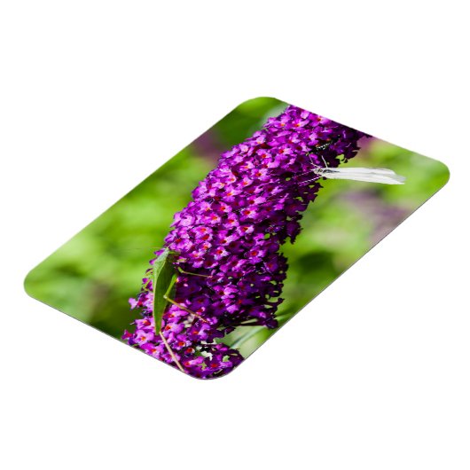 Kuttenenergie Magnet (Linke Seite)