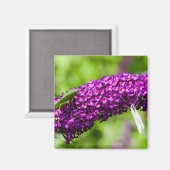 Kuttenenergie Magnet (Vorderseite/Rückseite)