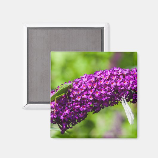 Kuttenenergie Magnet (Vorderseite/Rückseite)