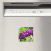 Kuttenenergie Magnet (In Situ (Geschirrspüler))