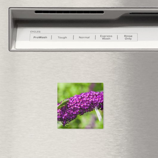 Kuttenenergie Magnet (In Situ (Geschirrspüler))