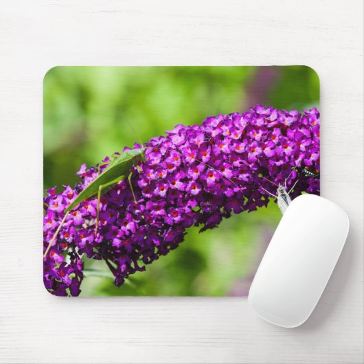 Kuttenenergie Mousepad (Mit Mouse)