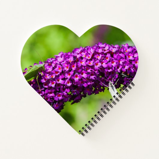 Kuttenenergie Notizblock (Rückseite)