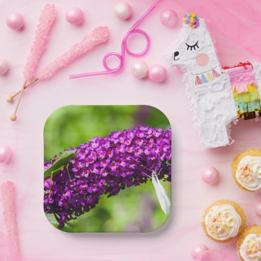 Kuttenenergie Pappteller (Party)