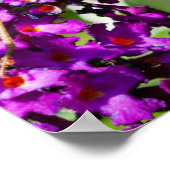 Kuttenenergie Poster (Ecke)