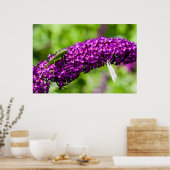 Kuttenenergie Poster (Küche)