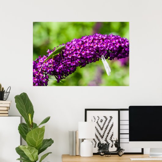 Kuttenenergie Poster (Heimbüro)