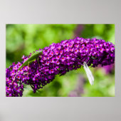 Kuttenenergie Poster (Vorne)