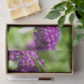 Kuttenenergie Seidenpapier (Geschenk)
