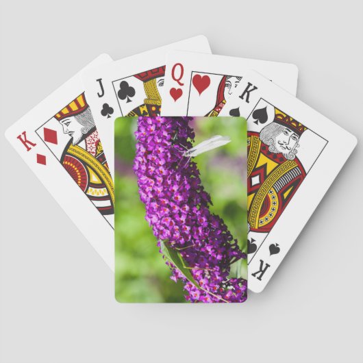 Kuttenenergie Spielkarten (Rückseite)