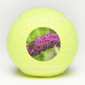 Kuttenenergie Tennisbälle (Vorderseite)