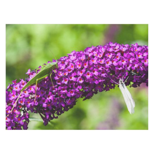 Kuttenenergie Tischdecke (Vorderseite (Horizontal))