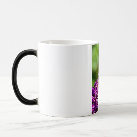 Kuttenenergie Verwandlungstasse (Links)