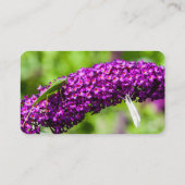 Kuttenenergie Visitenkarte (Rückseite)