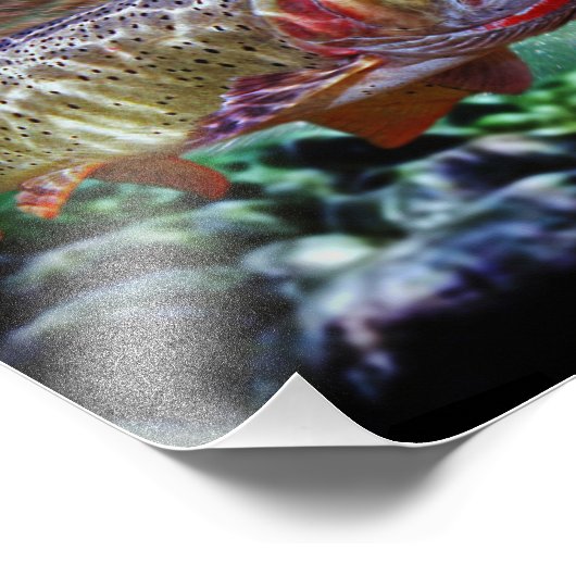 KUTTHROUT FOTODRUCK (Ecke)