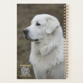 Kuvasz 2027 Planer (Rückseite)