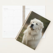 Kuvasz 2027 Planer (Anzeige)