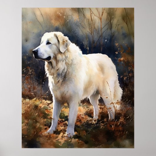 Kuvasz Dog Art Print Poster (Vorne)