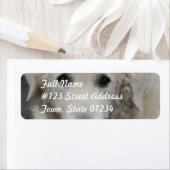 Kuvasz Dog Breed Mailing Labels (Insitu)