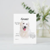 Kuvasz-Geschichtsdesign Postkarte (Stehend Vorderseite)