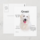 Kuvasz-Geschichtsdesign Postkarte (Vorne/Hinten)