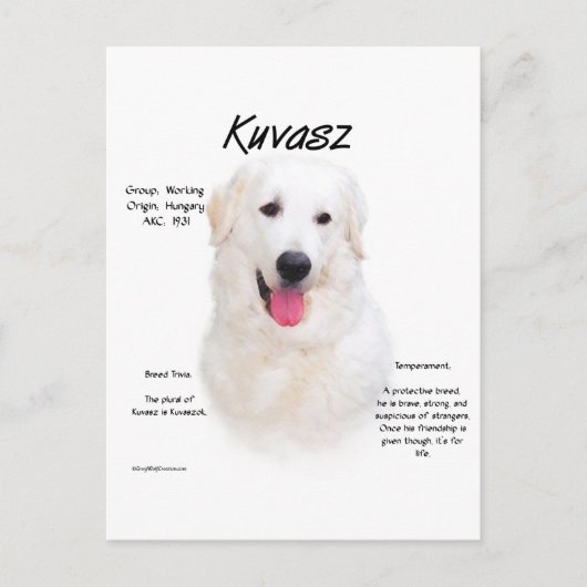 Kuvasz-Geschichtsdesign Postkarte (Vorderseite)