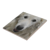 Kuvasz Hundezucht-Fliese Fliese (Seite)