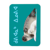 Kuvianak Innovia - Ringed Siegel Magnet (Vertikal)