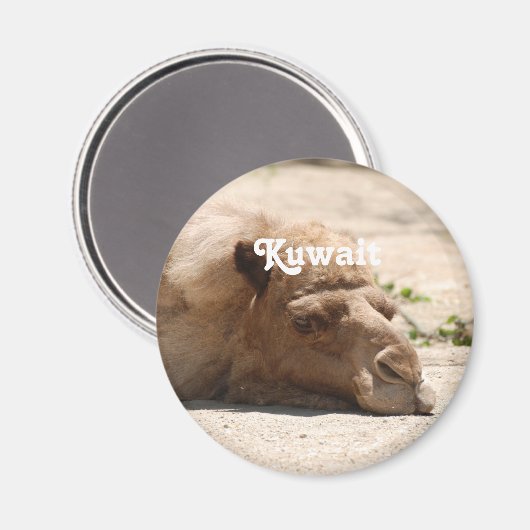 Kuwait Camel Magnet (Vorderseite/Rückseite)