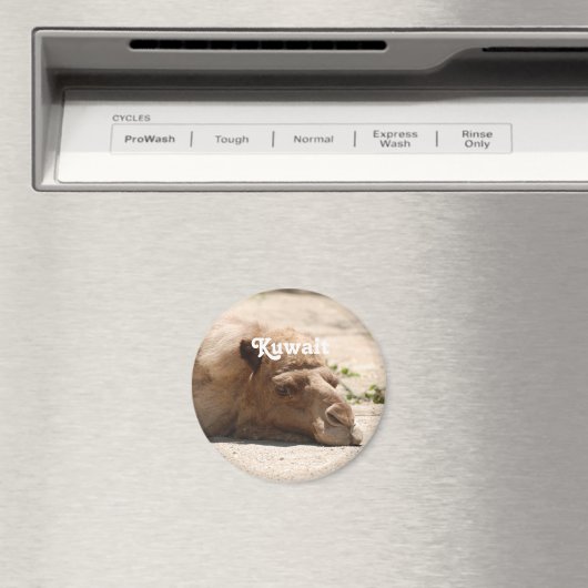 Kuwait Camel Magnet (In Situ (Geschirrspüler))