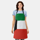 Kuwait-Flagge Schürze (Getragen)