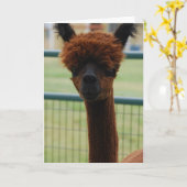 Kuzco Alpaca Grußkarte Karte (Gelbe Blume)