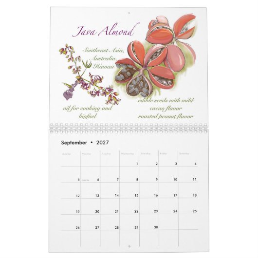 Kwaj-Kalender 2025 Kalender (Sep 2027)