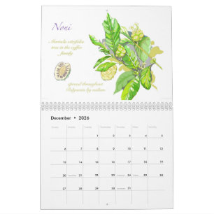 Kwaj-Kalender 2026 Kalender