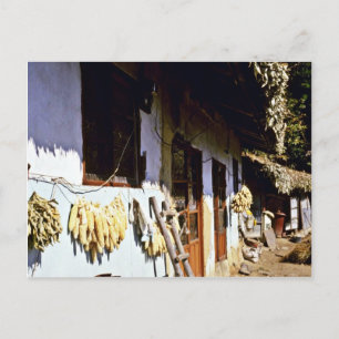 Kyongsangnam-Do - Chonghak-dong Traditionelles Dor Postkarte