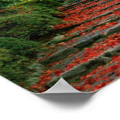 Kyoto, Herbstausscheide Poster (Ecke)