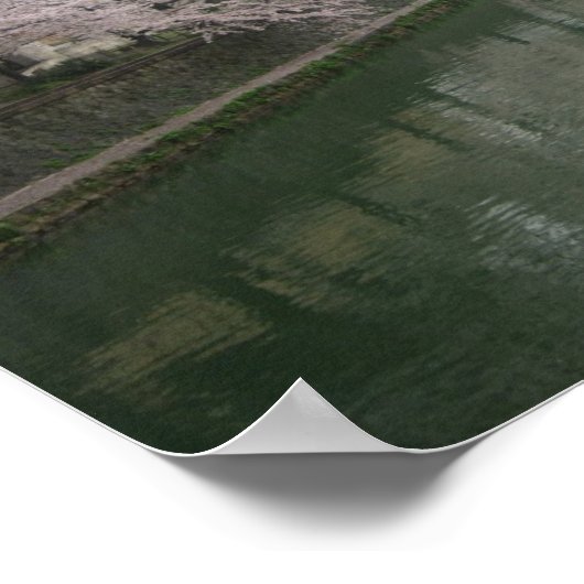 Kyōto-Kirschblüten Poster (Ecke)