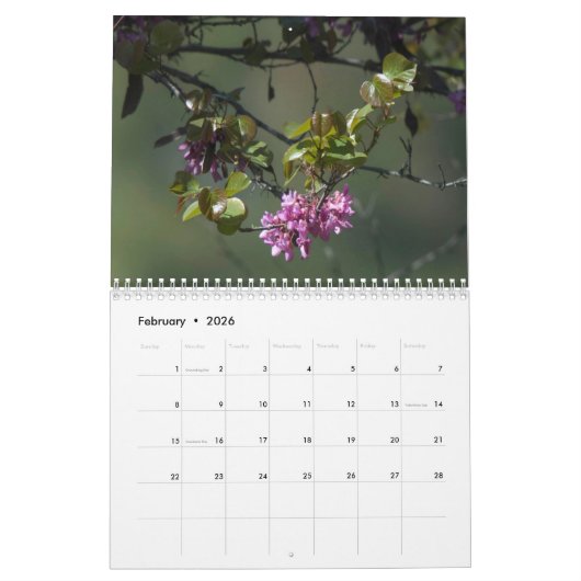 Kyprus-Kalender Kalender (Feb 2026)