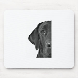 Kyro halber Hund Mousepad