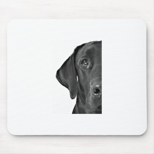 Kyro halber Hund Mousepad (Vorne)