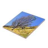 L0NE TREE FLIESE (Seite)