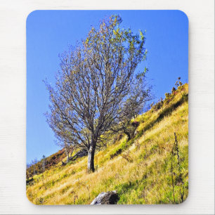 L0NE TREE MOUSEPAD
