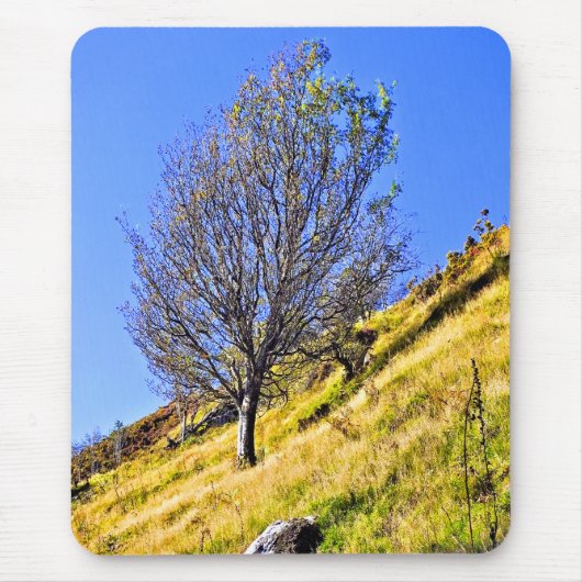 L0NE TREE MOUSEPAD (Vorne)