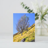 L0NE TREE POSTKARTE (Stehend Vorderseite)
