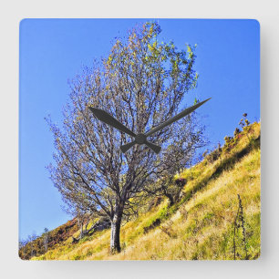 L0NE TREE QUADRATISCHE WANDUHR